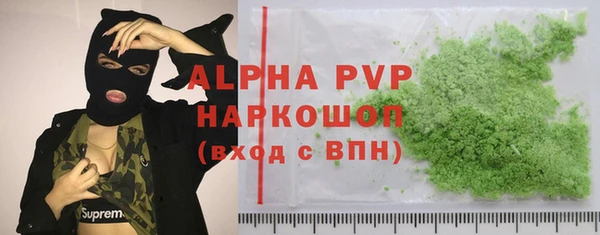индика Краснотурьинск