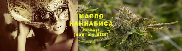индика Краснотурьинск