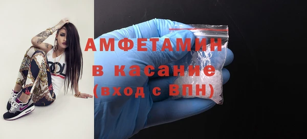 индика Краснотурьинск