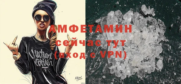 индика Краснотурьинск