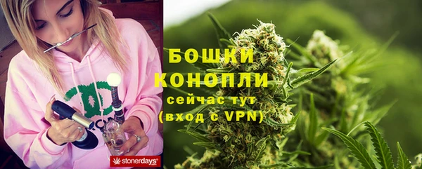 ECSTASY Краснослободск