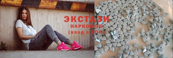 ECSTASY Краснослободск