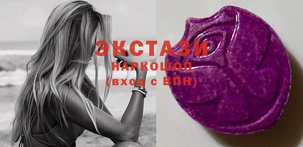 ECSTASY Краснослободск