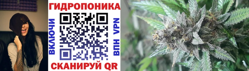 Купить закладки  Лысьва  Шишки марихуана VHQ 